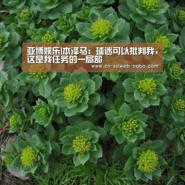 亚博娱乐|本泽马:球迷可以批判我,这是我任务的一局部(图4) 亚博官方网站