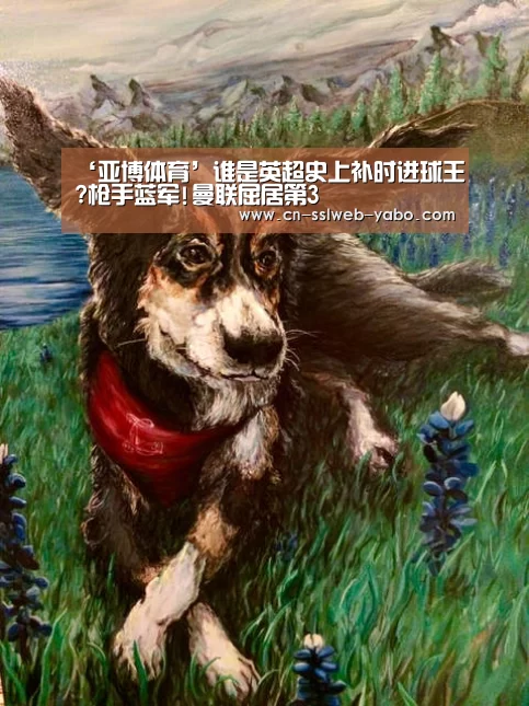 ‘亚博体育’谁是英超史上补时进球王?枪手蓝军!曼联屈居第3(图4) 亚博体育